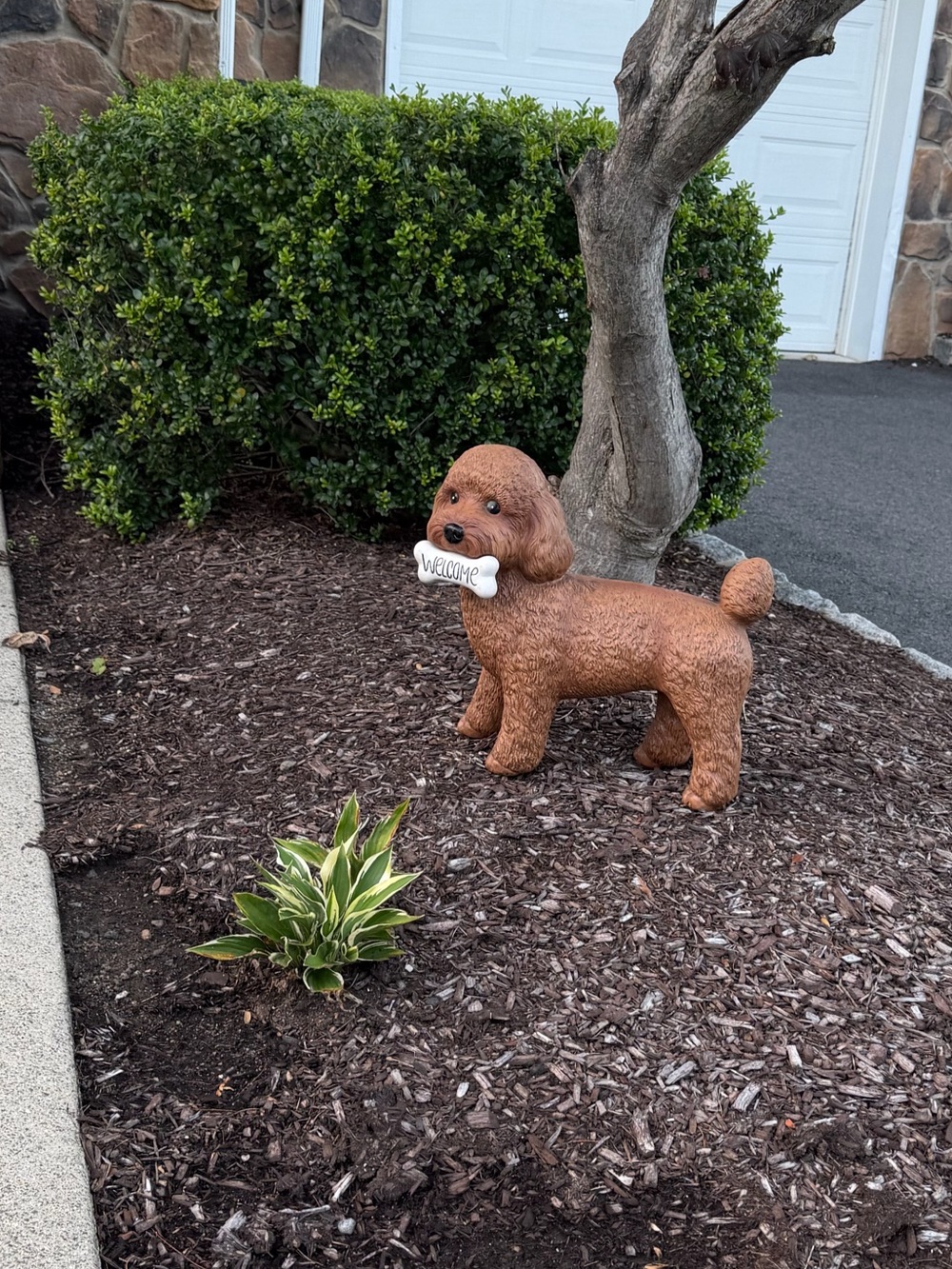 Brown Dog Garden Statue, Goldendoodle